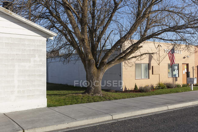 Street scene with rural Town Hall building, American flag and elm tree — Photo de stock
