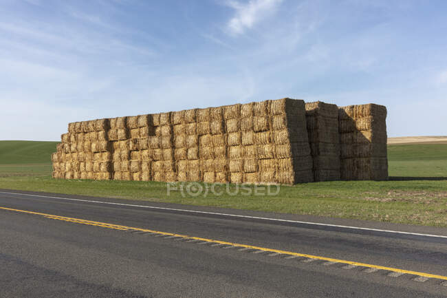 Large stack of hay bales in a field by a road — Stock Photo