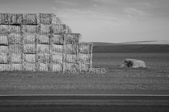 Large stack of hay bales, black and white — Stock Photo