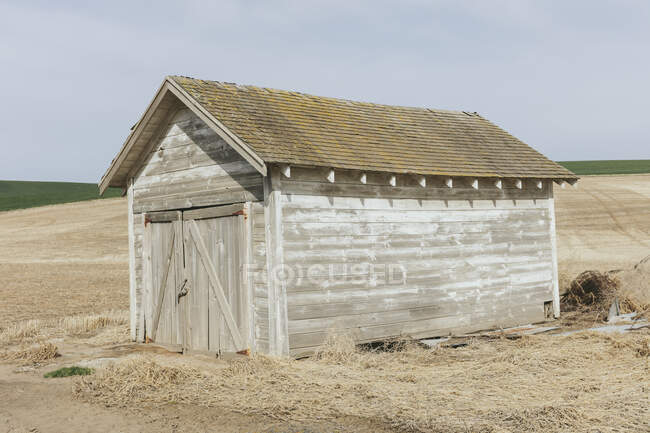 Abandoned homestead in a rural landscape — Stock Photo