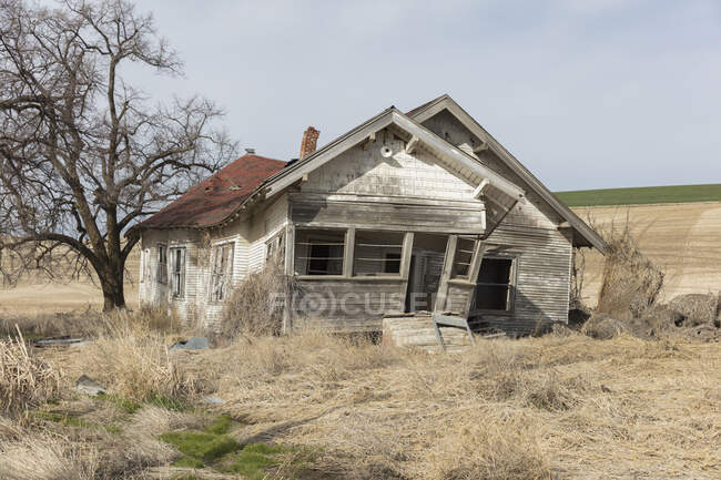 Abandoned homestead in a rural landscape, falling down — Stock Photo