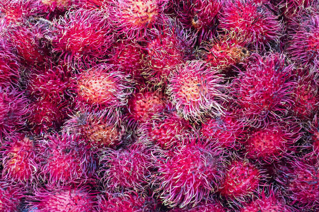 Rambutan fruit in food market, Rangún, Myanmar - foto de stock