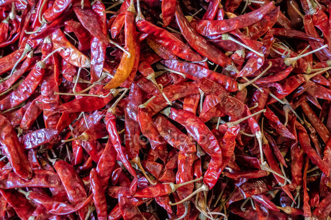 Close up of fresh red hot chilli peppers food market in Yangon, Myanmar - foto de stock