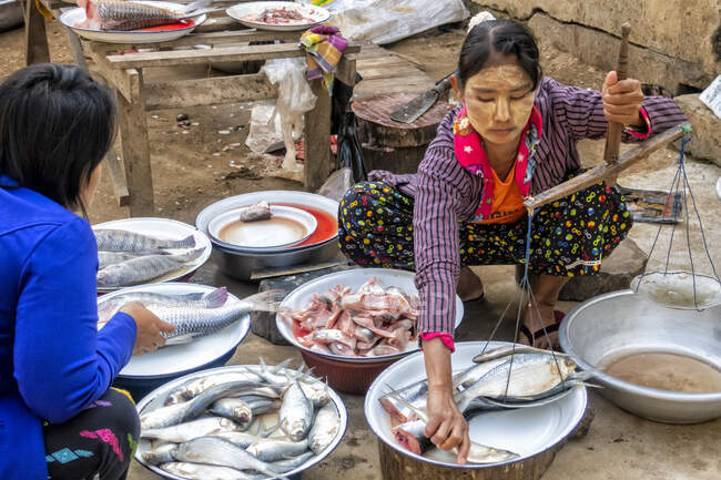 Mercado de pescado fresco en Yangon, Myanmar - foto de stock