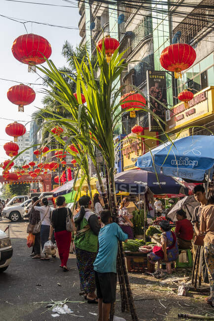 Мальчик, несущий бамбуковые растения на оживленной улице Янгона, украшенной красными китайскими фонарями в рамках подготовки к празднованию китайского Нового года, Мьянма — стоковое фото