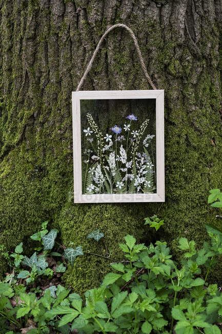 Flower arrangement in wooden frame, decorations for a woodland ceremony — Stock Photo
