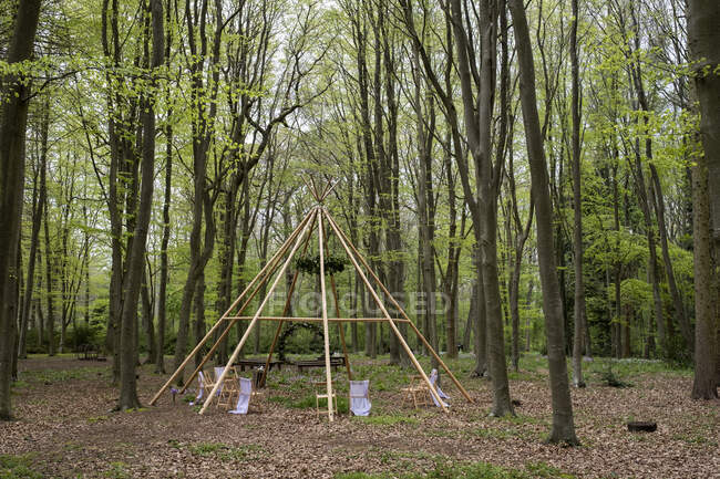 Estructura de madera con corona para una ceremonia de denominación de bosques. - foto de stock
