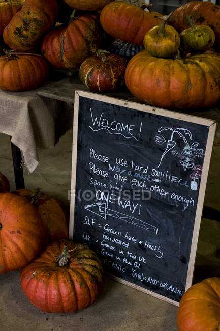 Pumpkins and blackboard with welcome note in a farm shop. — Stock Photo