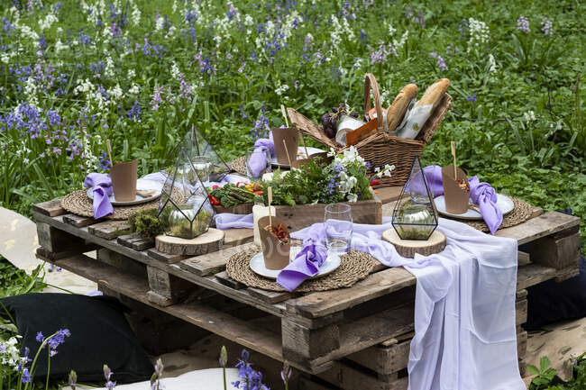 Рустикальний пікнік стіл з їжею на весняному лузі для церемонії іменування лісу . — стокове фото