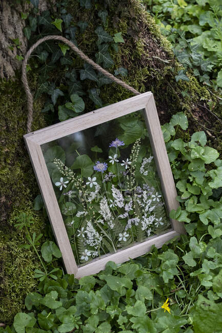 Blumenschmuck in Holzrahmen, Dekorationen für eine Waldzeremonie — Stockfoto