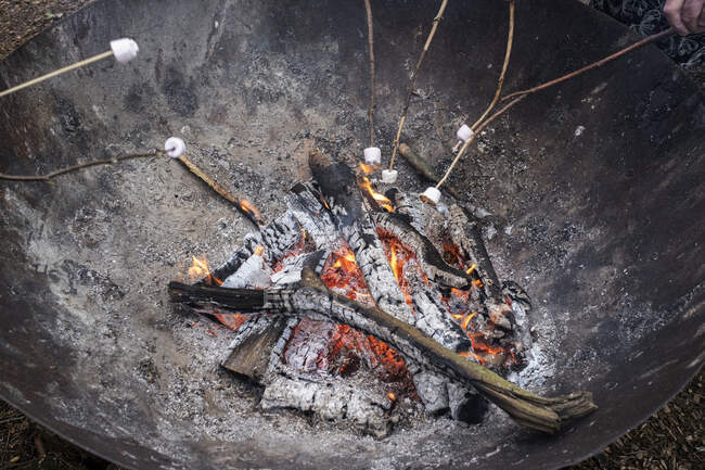 Großaufnahme von Marshmallows, die über einer Feuerstelle gebraten werden — Stockfoto