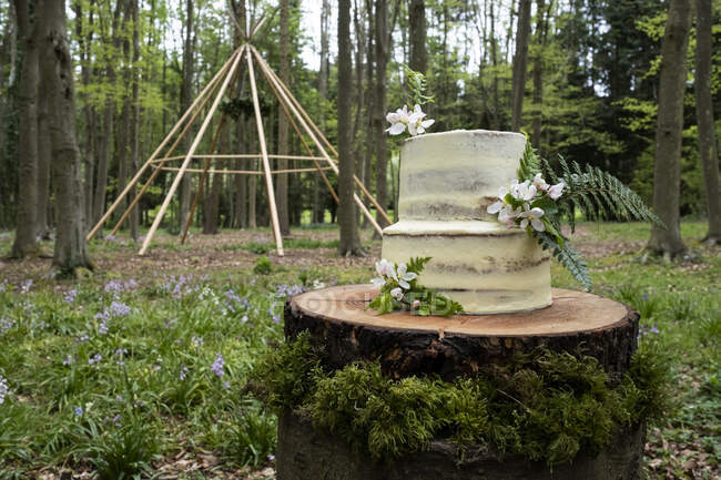 Torta con decorazioni floreali per una cerimonia nel bosco — Foto stock