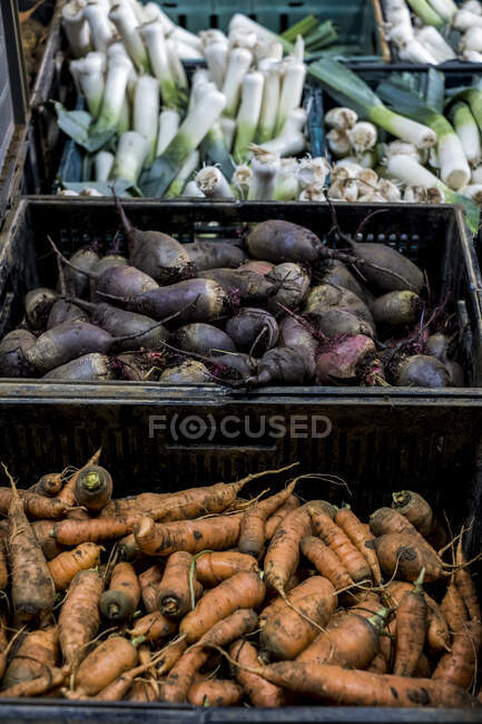 High angle close up of crates with freshly picked carrots, beetroots and leeks. — Stock Photo