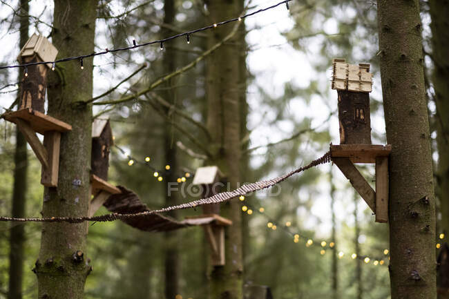 Case per uccelli in legno e luci fatate su un albero, decorazioni per una cerimonia nel bosco — Foto stock