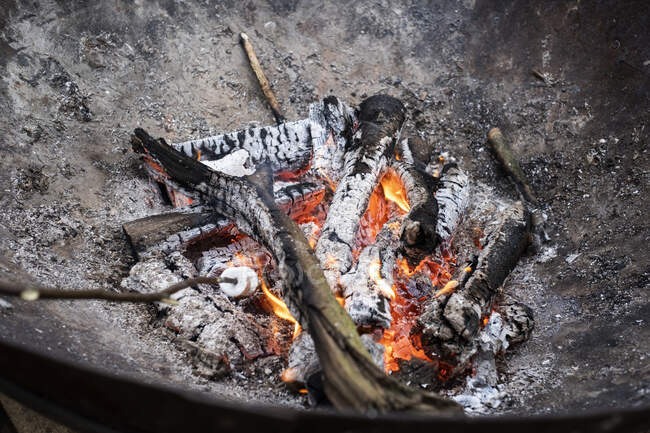 Avvicinamento dei marshmallow arrostiti sopra un pozzo di fuoco — Foto stock