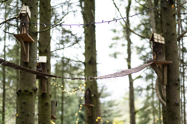 Case per uccelli in legno e luci fatate su un albero, decorazioni per una cerimonia nel bosco — Foto stock