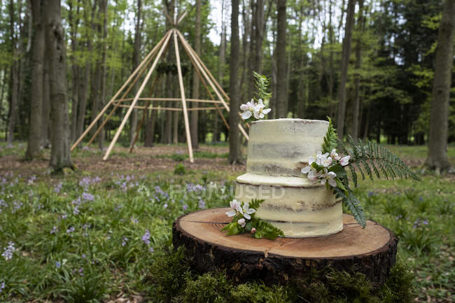 Torta con decorazioni floreali per una cerimonia di famiglia boschiva — Foto stock