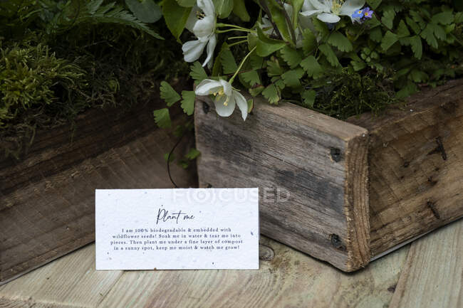 Crate of wild flowers, decorations for a woodland naming ceremony — Stock Photo