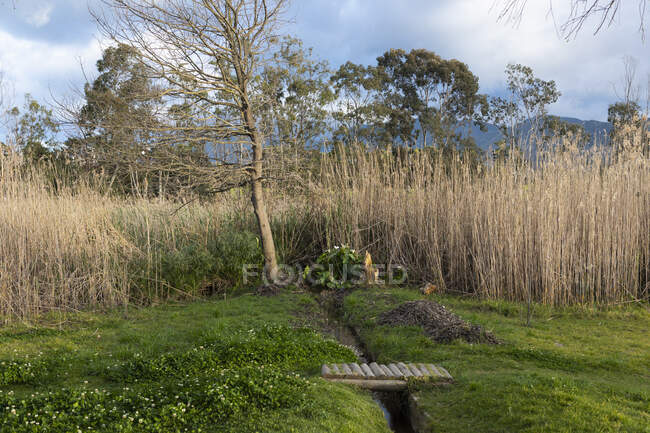 Wandel Pad, a hiking and nature trail along a river estuary. — Stock Photo