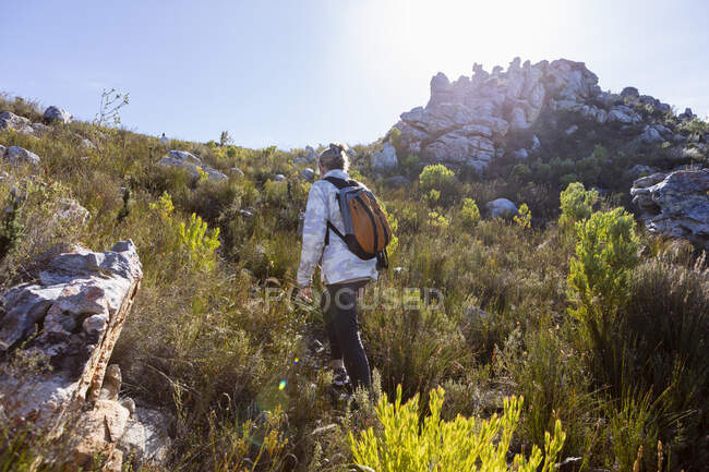 Woman hiking a nature trail, Phillipskop nature reserve, Stanford, África do Sul. — Fotografia de Stock