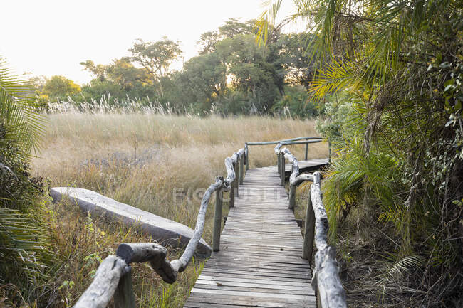 Holzsteg in einem Safaricamp im Okavango-Delta, Botswana. — Stockfoto