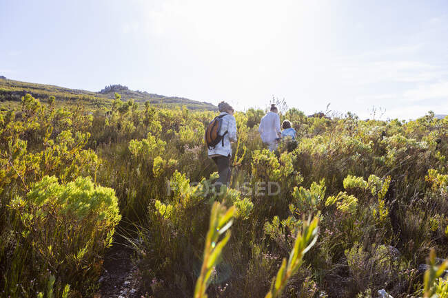 Randonnée en famille un sentier de la nature, réserve naturelle Phillipskop, Stanford, Afrique du Sud. — Photo de stock