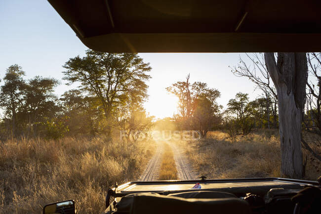 Veículo Safari ao nascer do sol, Okavango Delta, Botswana. — Fotografia de Stock
