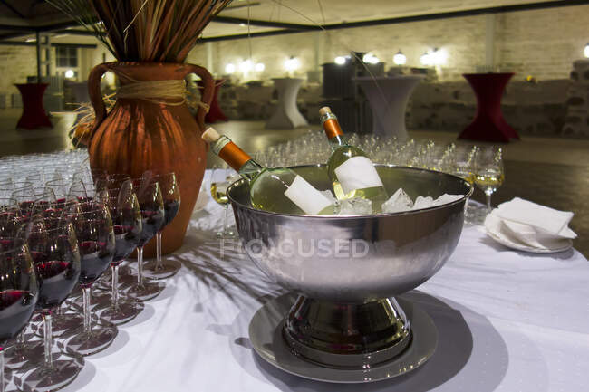 Bottiglie di vino in secchio di ghiaccio metallico. Raffreddatore con cubetti di ghiaccio. Bicchieri di vino. — Foto stock