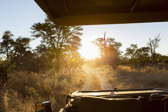 Safari-Fahrzeug bei Sonnenaufgang, Okavango Delta, Botswana. — Stockfoto