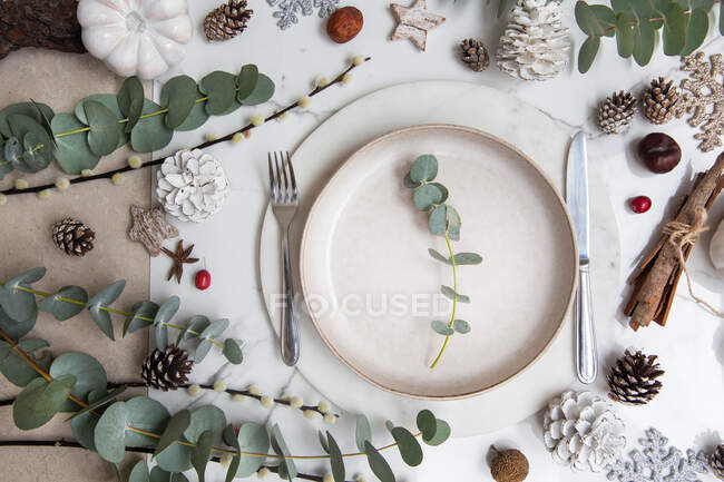 Decorazioni natalizie su sfondo bianco, foglie verdi e bacche rosse — Foto stock