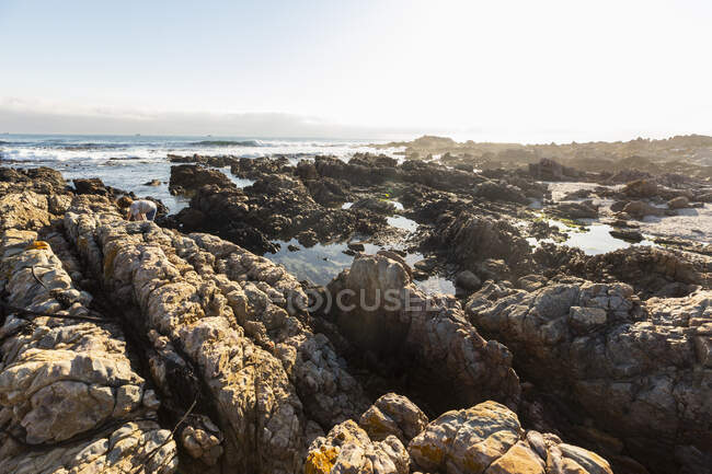 A boy searching the rock pools on a jagged Atlantic Ocean coastline, De Kelders, Western Cape, South Africa. — Stock Photo