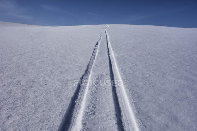 Pistas de trineo en la nieve en el día soleado - foto de stock