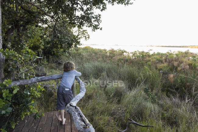 Un niño en una pasarela mirando desde un campamento permanente en el delta del Okavango, Botswana. - foto de stock