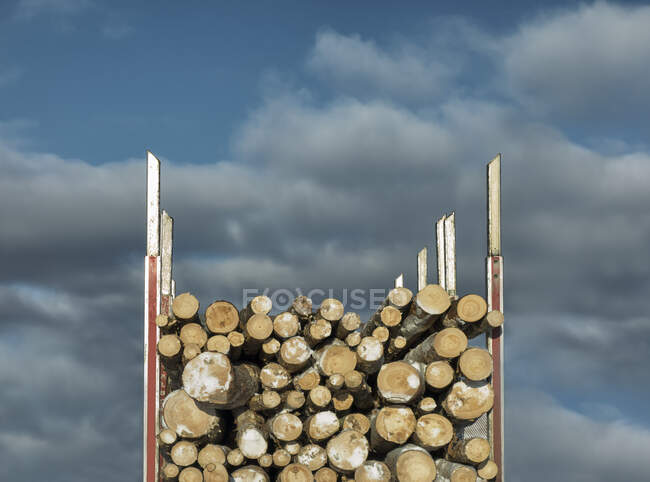 Reboque cheio de madeira, close-up. — Fotografia de Stock