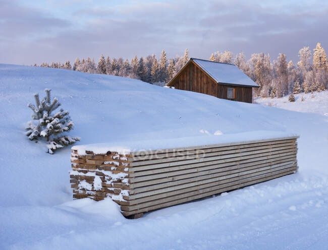 Piled timber and small wooden house in winter snow — Stock Photo