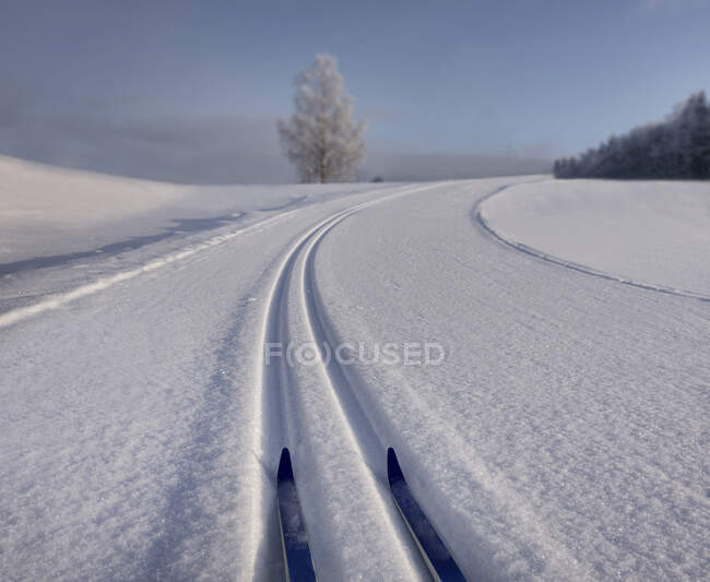 Snowy, hilly cross-country ski tracks with skis in Estonia, s-shaped trail in winter. — Stock Photo