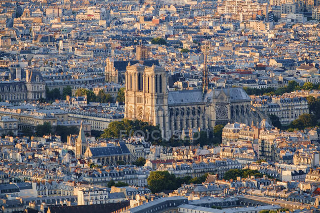 Vista aérea de la Catedral de Notre Dame en París - foto de stock