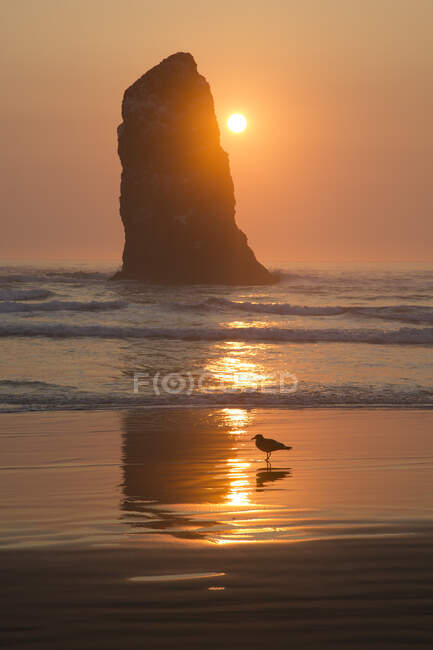 Sun setting behind rock in waves on beach. — Stock Photo