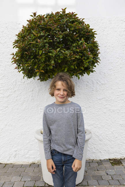 Портрет молодого хлопчика перед маленьким деревом на білій стіні — стокове фото
