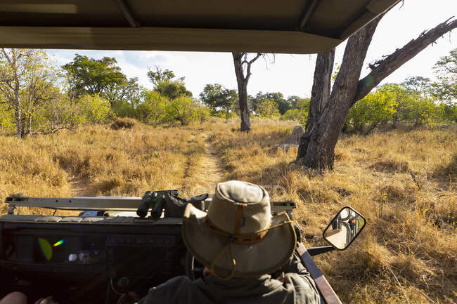 Um guia de safári em um chapéu de arbusto ao volante de um jipe, um elefante à distância. — Fotografia de Stock