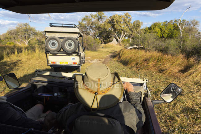 Una guida safari con un cappello a cespuglio al volante di una jeep. — Foto stock
