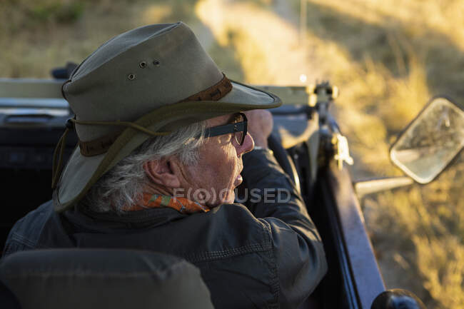 Un guía de safari en un sombrero de arbusto al volante de un jeep. - foto de stock
