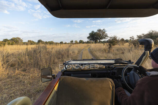 Früh am Morgen, Sonnenaufgang über einer Landschaft des Wildtierreservats, ein Safari-Jeep fährt. — Stockfoto