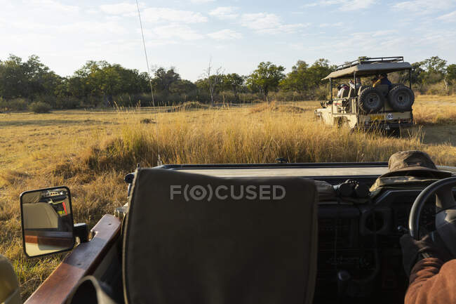 De manhã cedo, o nascer do sol em uma paisagem de reserva de vida selvagem, um jipe safari dirigindo. — Fotografia de Stock