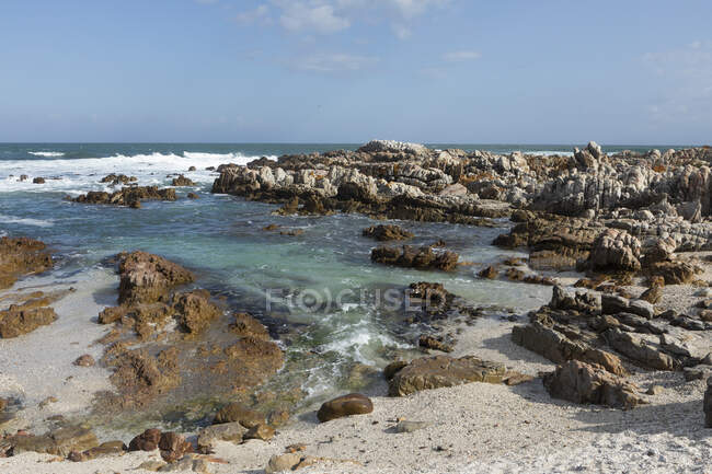 Rock pools and jagged coastline rocks on a beach, the Atlantic coast. — Stock Photo