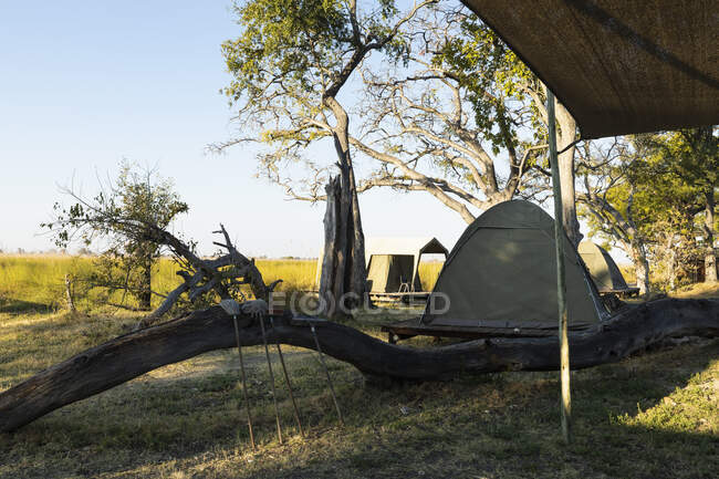 Група невеликих наметів в тіні дерев, постійний табір — стокове фото