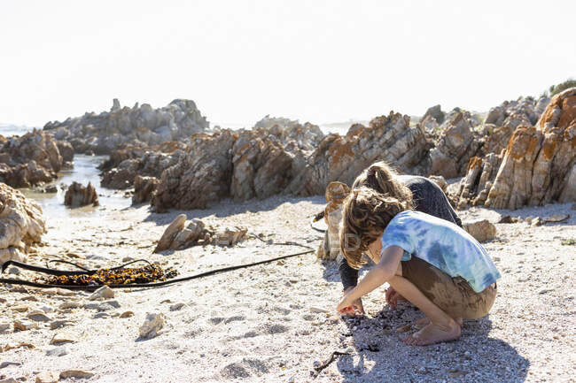 Two people, boy and girl collecting shells on a beach — Stock Photo