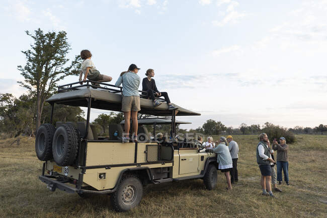 Group of people standing around safari vehicles on an early morning game drive — Stock Photo