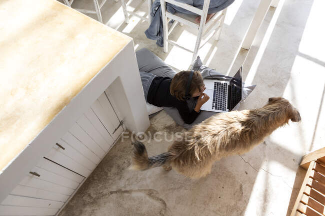 Niño de ocho años, barbilla en las manos, viendo la pantalla de un portátil, haciendo los deberes, perro a su lado, - foto de stock