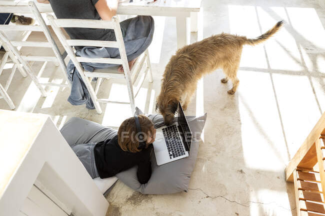 Восьмилетний мальчик, подбородок на руках, смотрит на экран ноутбука, любопытная собака, сморкающаяся на клавиатуре. — стоковое фото